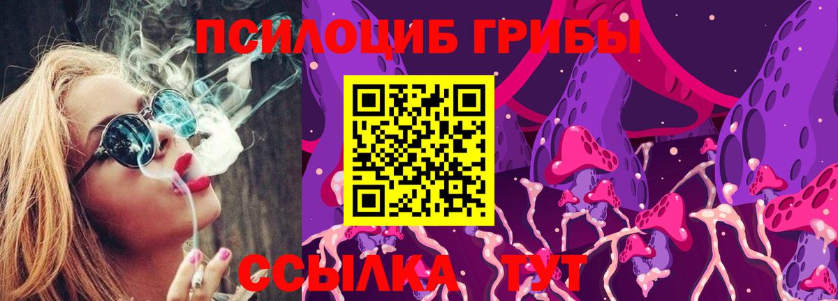 Псилоцибиновые грибы прущие грибы  Галлюциногенные грибы ЛСД  Вход с VPN  Знаменск 